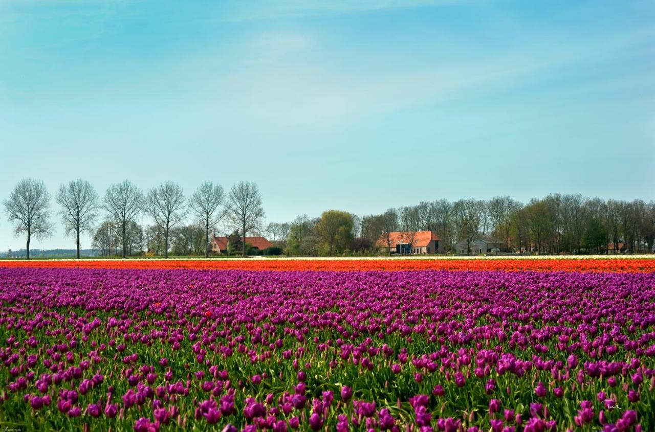 B&B De Strandhoeve Giethoorn Eksteriør bilde
